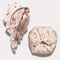 Lumelle Shower Cap & XL Hair Towel Bundle